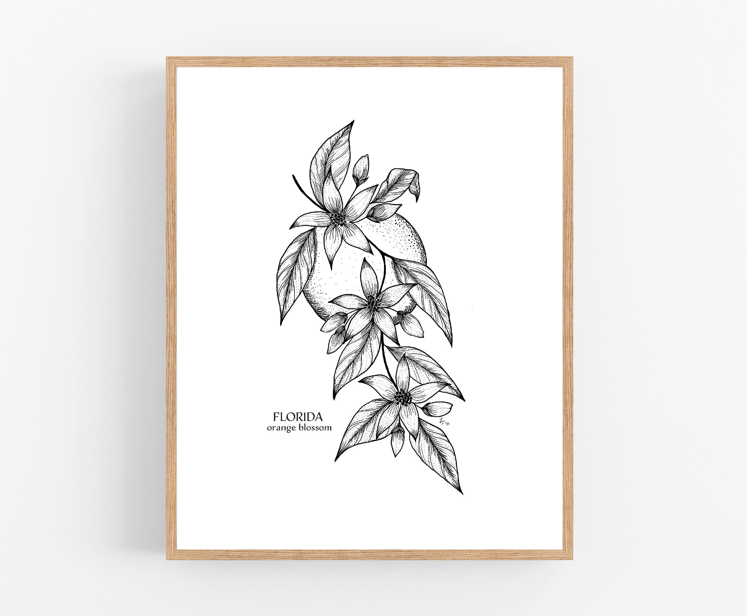 How To Draw An Orange Blossom