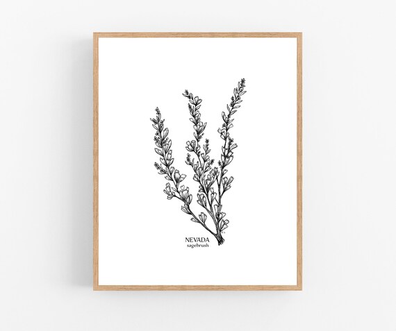 Nevada Sagebrush Ink Sketch Print / Printable / Art / Digital | Etsy UK