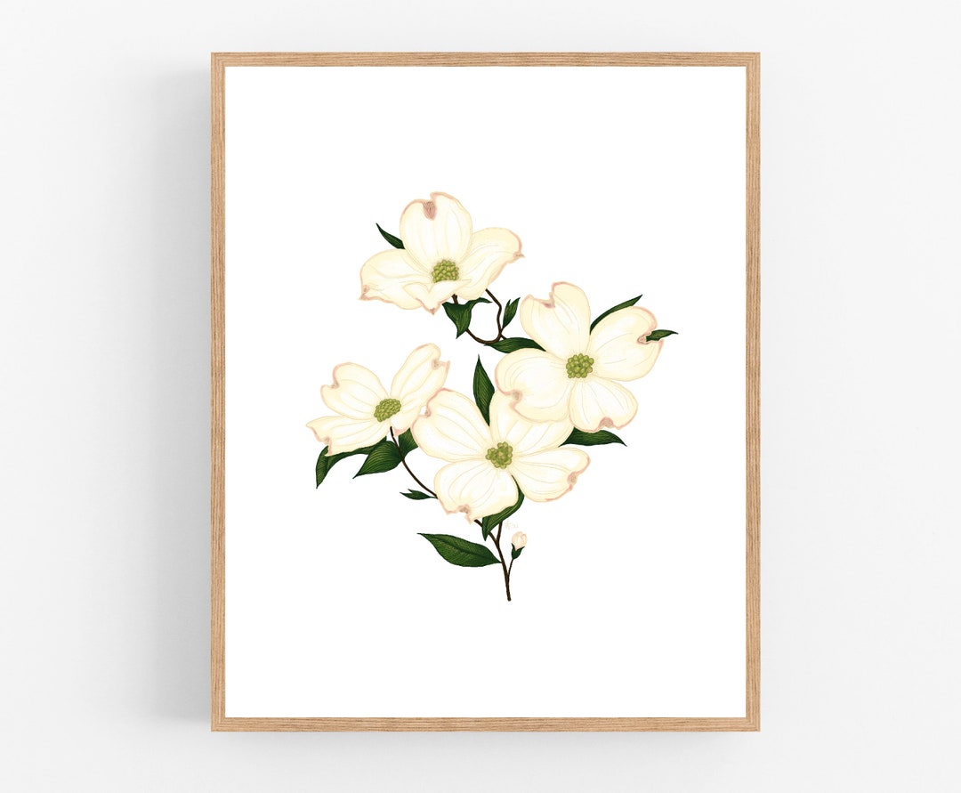 Dogwood Print / Printable / Art / Digital Download / Illustration ...