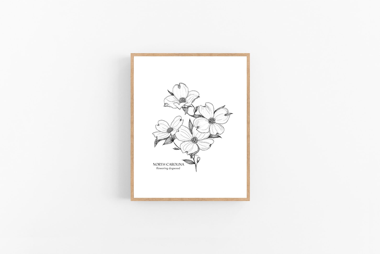 North Carolina Dogwood Ink Sketch Print / Printable / Art / - Etsy