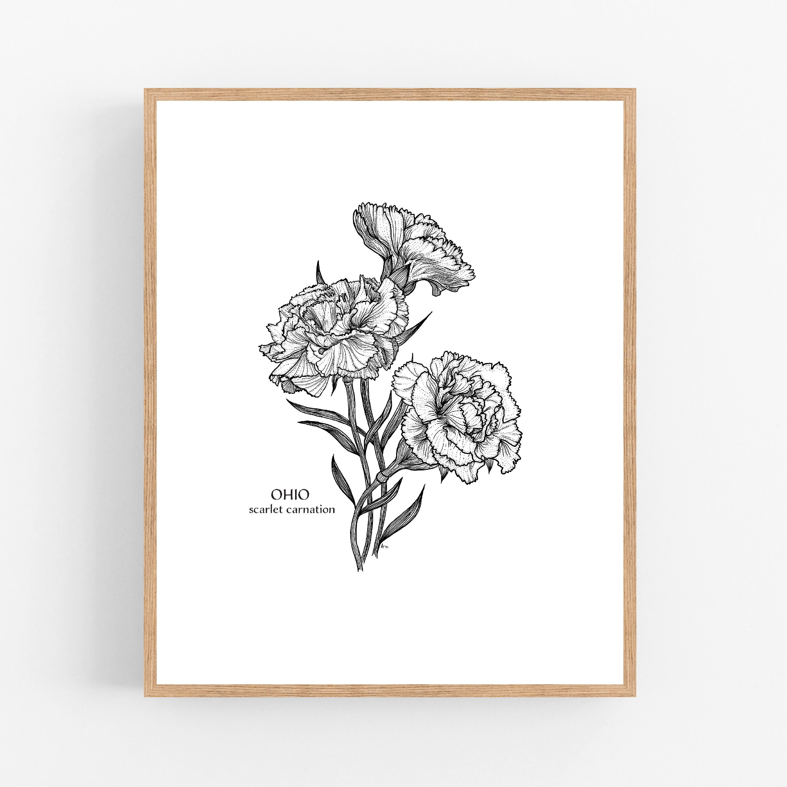 Ohio Scarlet Carnation Ink Sketch Print / Printable / Art Ohio Scarlet Carnation Ink Sketch Print / Printable / Art