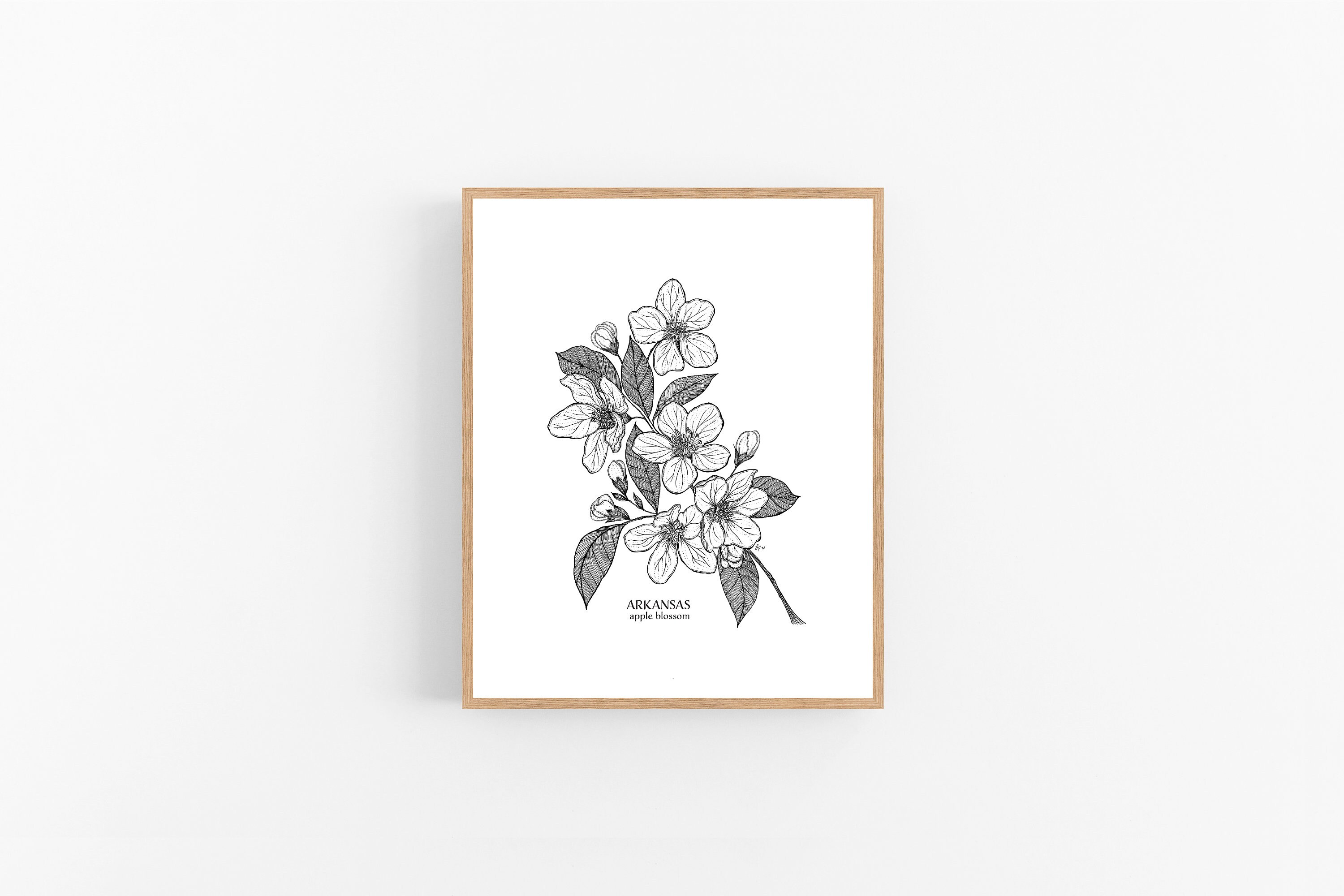 Arkansas Apple Blossom Ink Sketch Print / Printable / Art / Digital ...