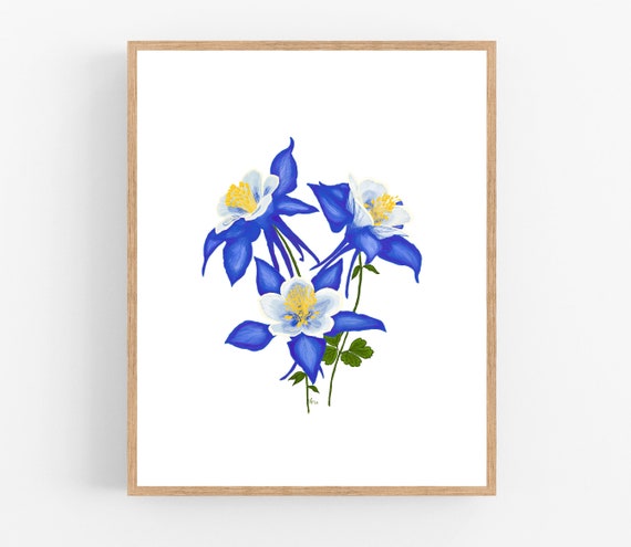 Columbine Color Illustration Print / Printable / Art / Digital