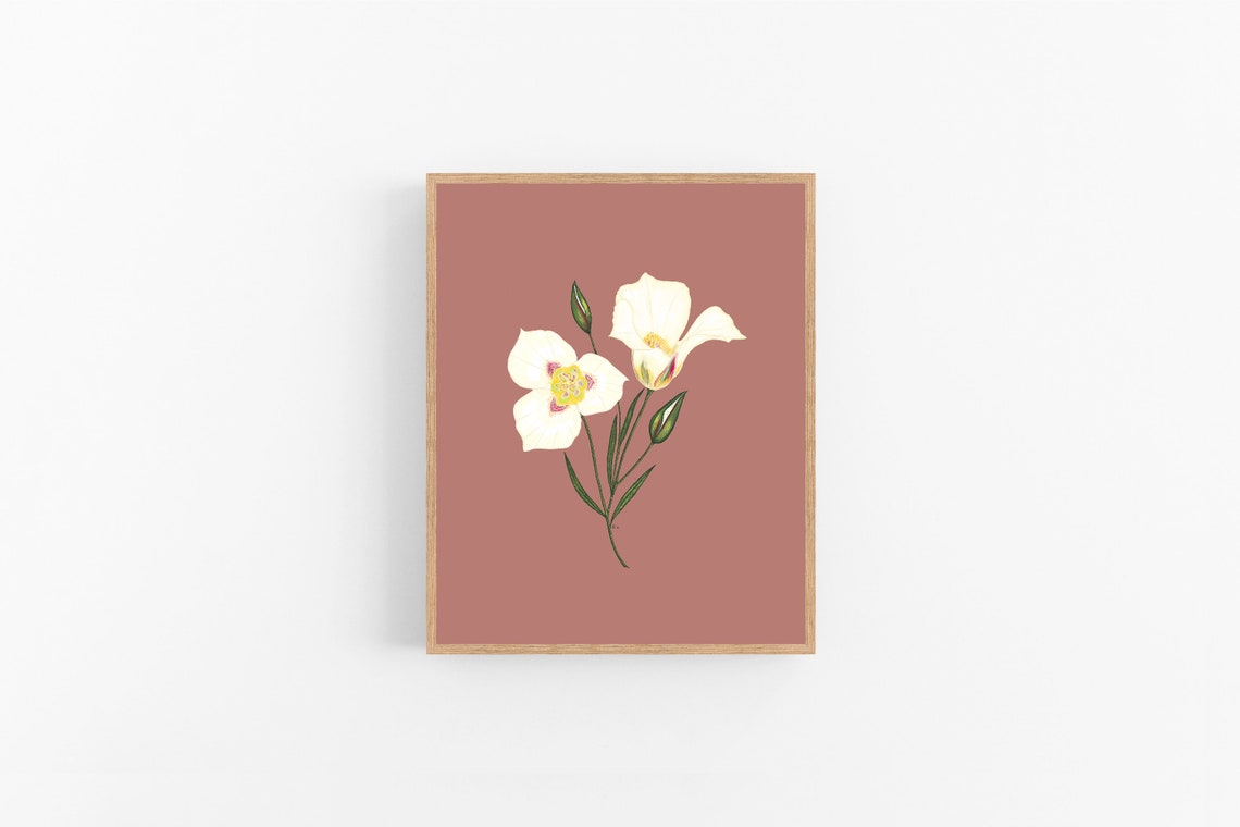 Sego Lily Illustration Print / Printable / Art / Digital Etsy