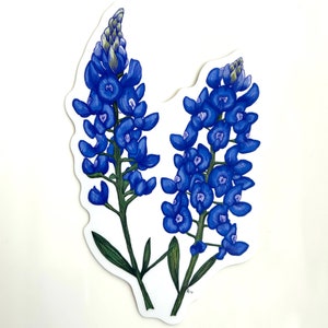 MEDIUM 6&quot; Bluebonnet Vinyl Sticker / Waterproof Vinyl Bluebonnet Decal / Texas Bluebonnet / Bluebonnet Decal Sticker / Medium Bluebonnet