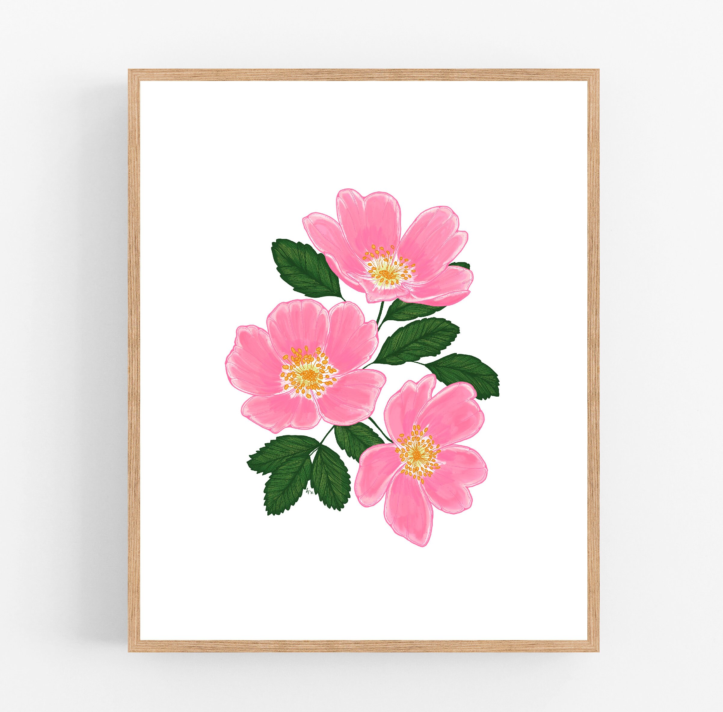 Wild Prairie Rose Color Illustration Digital Download / Iowa and North ...