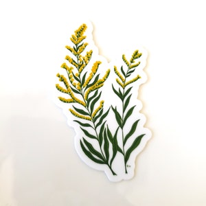 3" Goldenrod Vinyl Sticker / Waterproof Goldenrod Decal / Nebraska State Flower / Kentucky Decal Sticker /Yellow Flower / Botanical Sticker