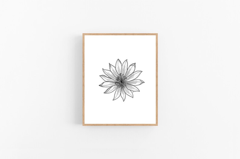 Bitterroot Black Ink Illustration Digital Download / Montana State ...