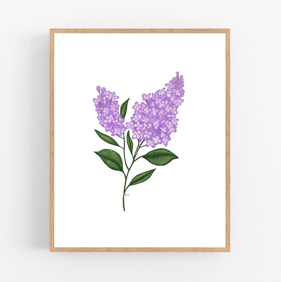 紫色のライラックのイラストプリント / 印刷可能 / アート / デジタル