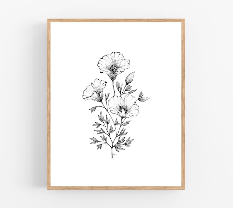 California Poppy Ink Sketch Print / Printable / Art / Digital Download / Pen Sketch / Botanical Print / Poppy / Poppies / California / Line image 1