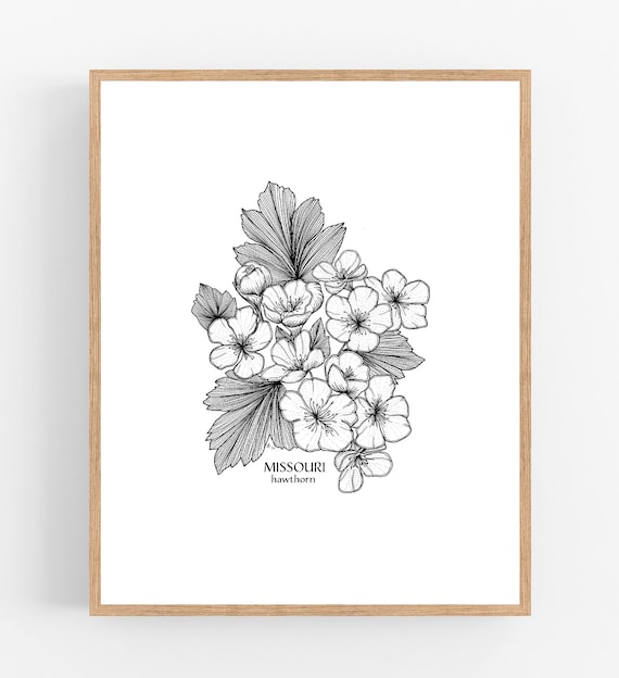 paulsmith 23AW 'Drawing Flower' テーパード paulsmith 23AW 'Drawing Flower' テーパード