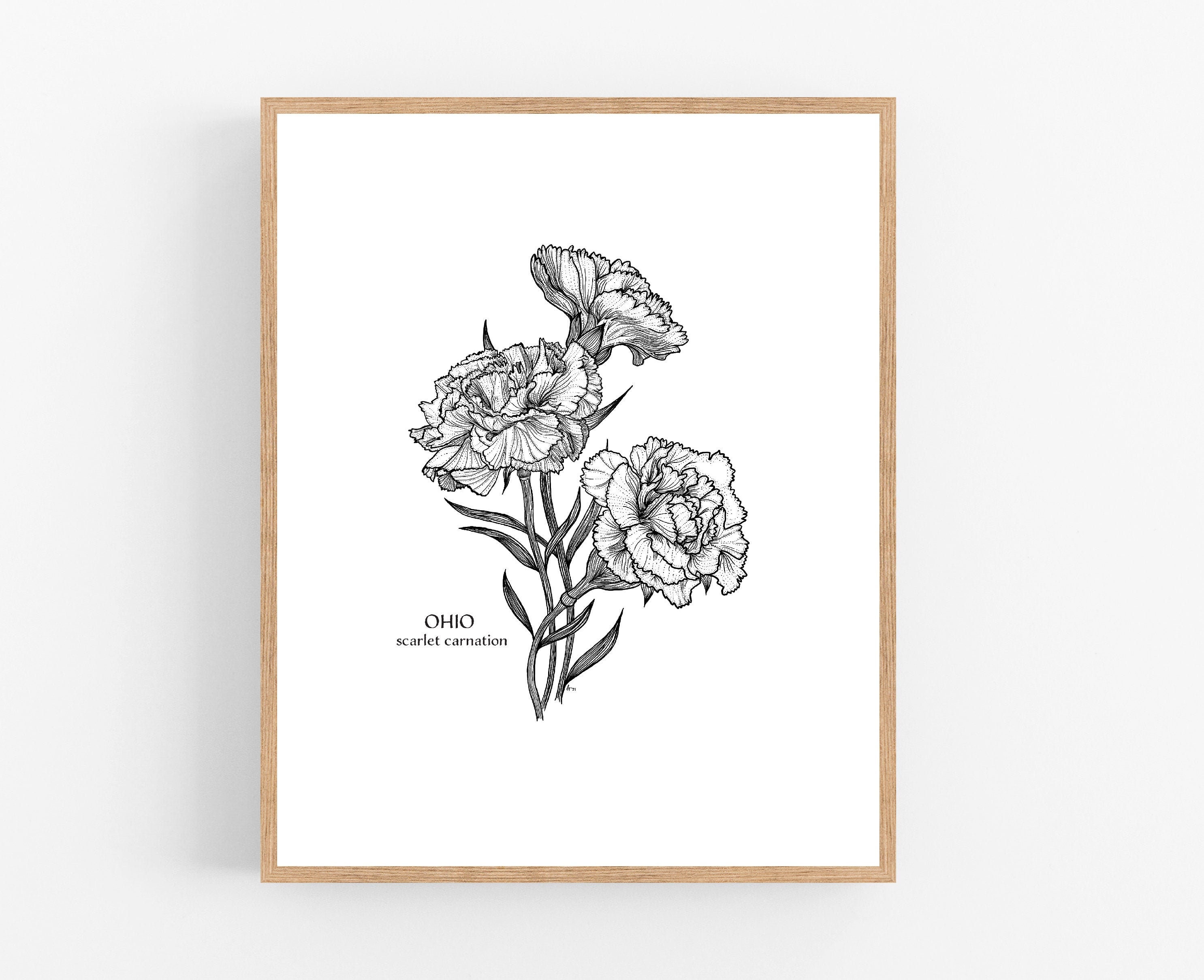 Ohio Scarlet Carnation Ink Sketch Print / Printable / Art / Digital  Download / Pen Sketch / State Flower Print/ Scarlet Carnation 