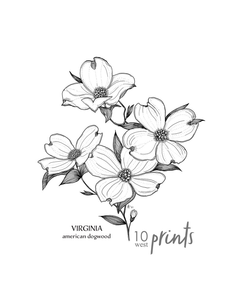Virginia Dogwood Crew