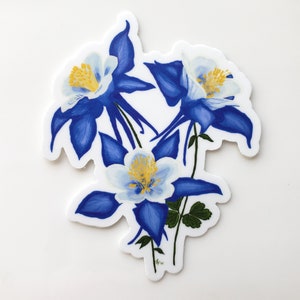 3" Columbine Vinyl Sticker / Waterproof Columbine Decal / Colorado Columbine / Colorado State Flower Decal Sticker / Blue Columbine