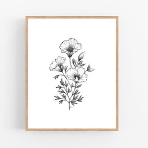 California Poppy Ink Sketch Print / Printable / Art / Digital Download / Pen Sketch / Botanical Print / Poppy / Poppies / California / Line image 3