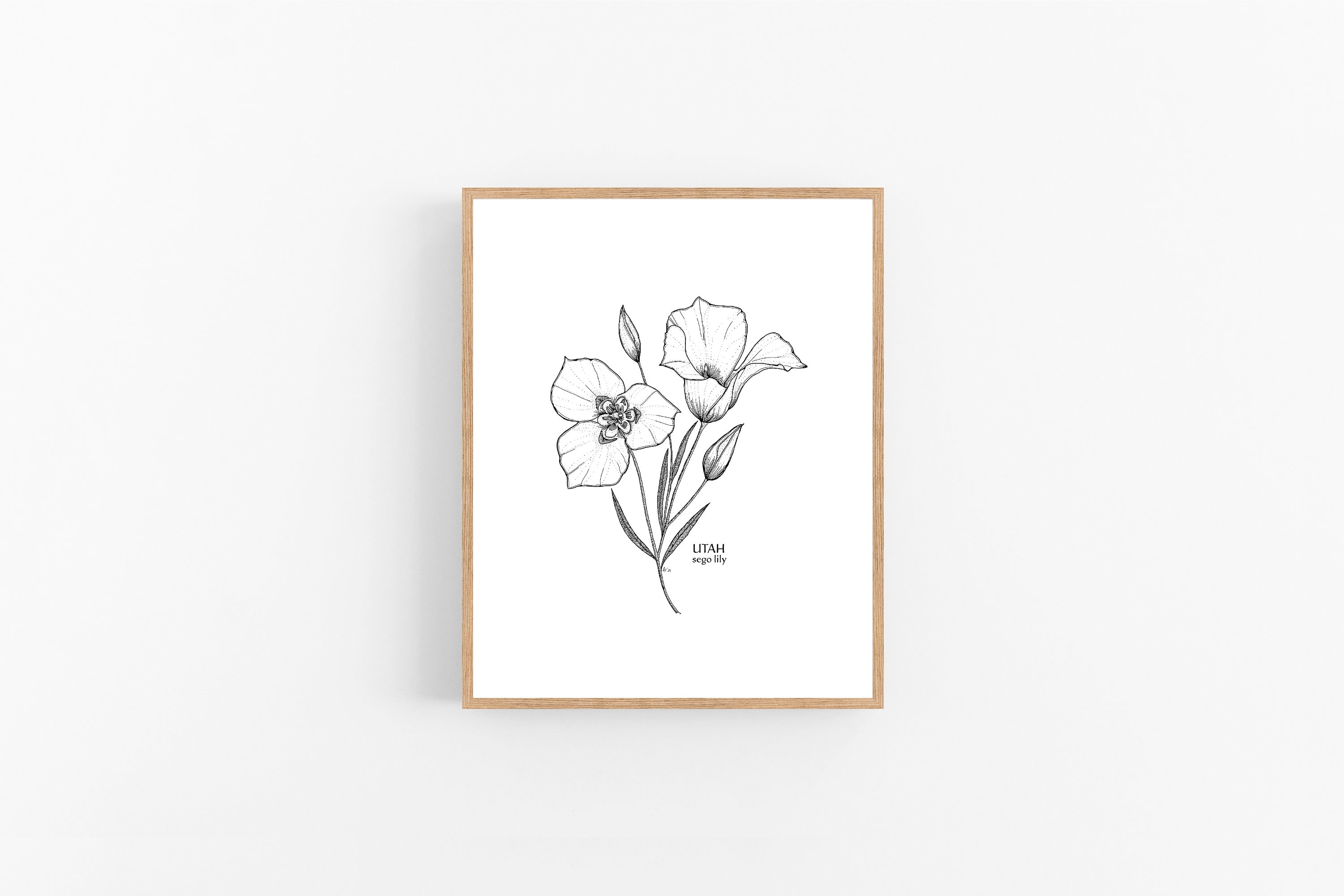 Utah Sego Lily Ink Sketch Print / Printable / Art