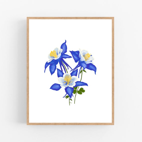 Columbine Color Illustration Print / Printable / Art / Digital