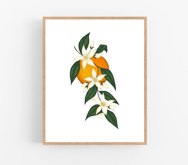 Orange Blossom Illustration / Printable / Art / Digital - Etsy