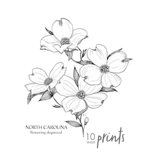 North Carolina Dogwood Ink Sketch Print / Printable / Art / Digital ...