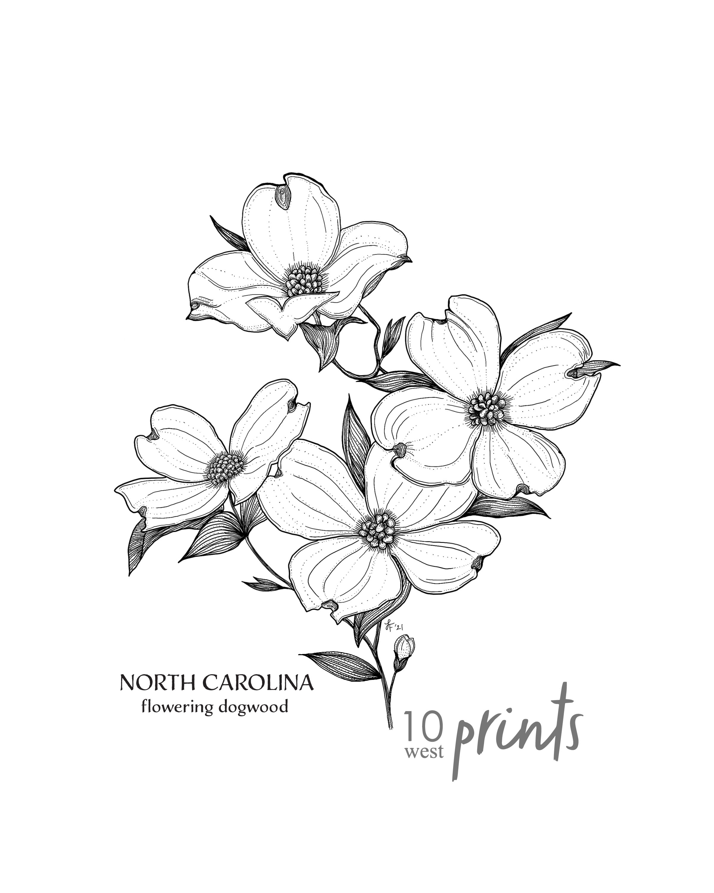 paulsmith 23AW 'Drawing Flower' テーパード Mississippi Magnolia | 12821-24