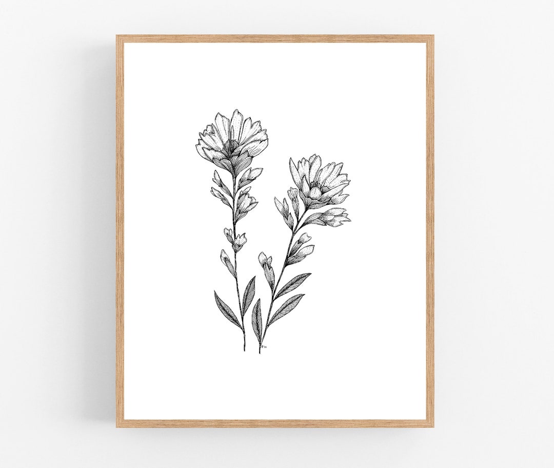 Indian Paintbrush Ink Sketch Print / Printable / Art / Digital Download