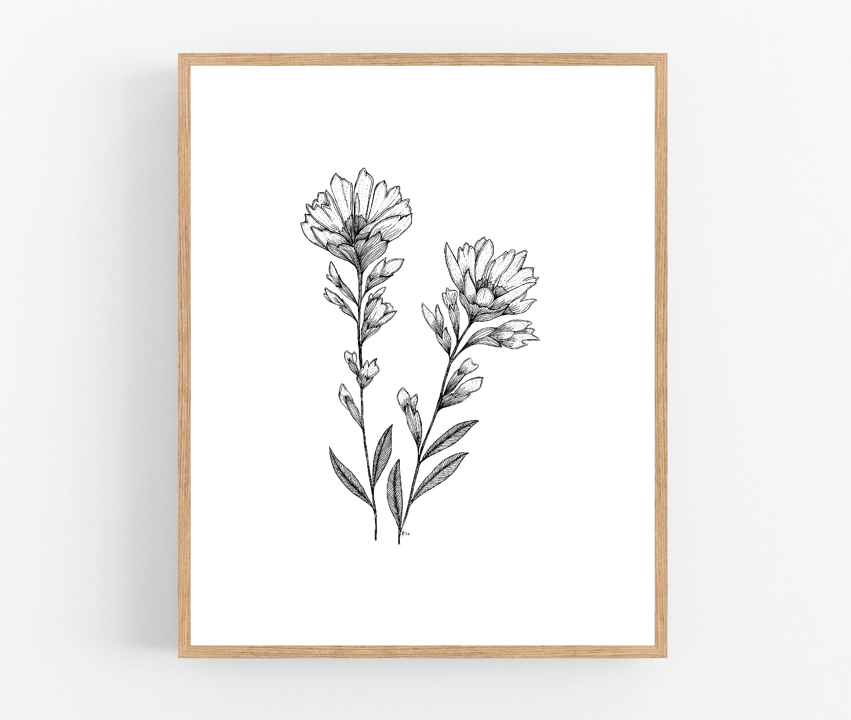 Indian Paintbrush Ink Sketch Print / Printable / Art / Digital Etsy
