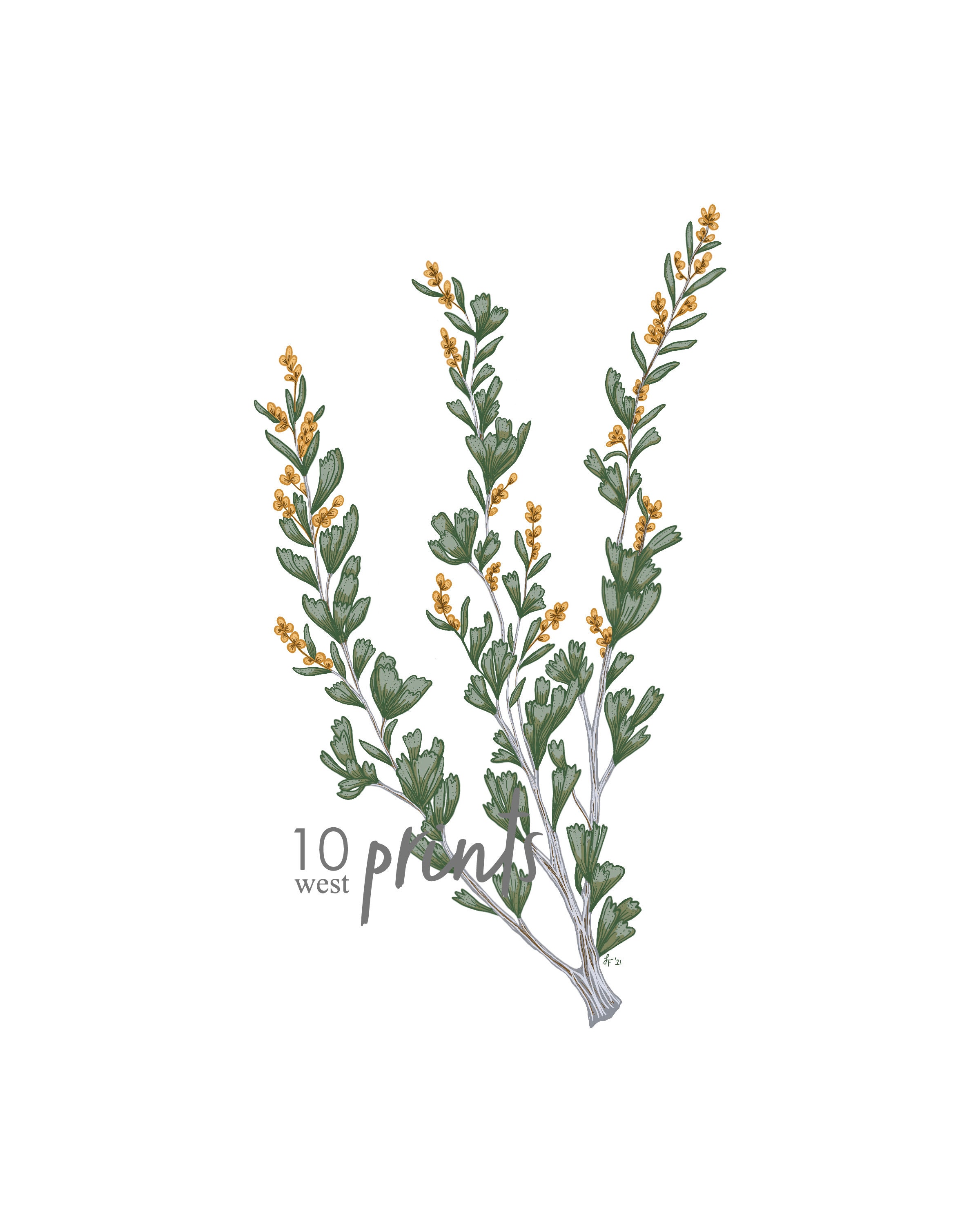 Sagebrush Branch Illustration / Printable / Arte / Descarga Etsy