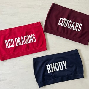 Custom college Bandeau, tailgate top, acceptance gift, any school