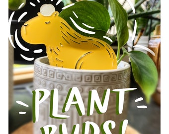 Capybara Plant Buds! | Acrylic Plant Stakes | Whimsical Decor | Plant Lover Gift