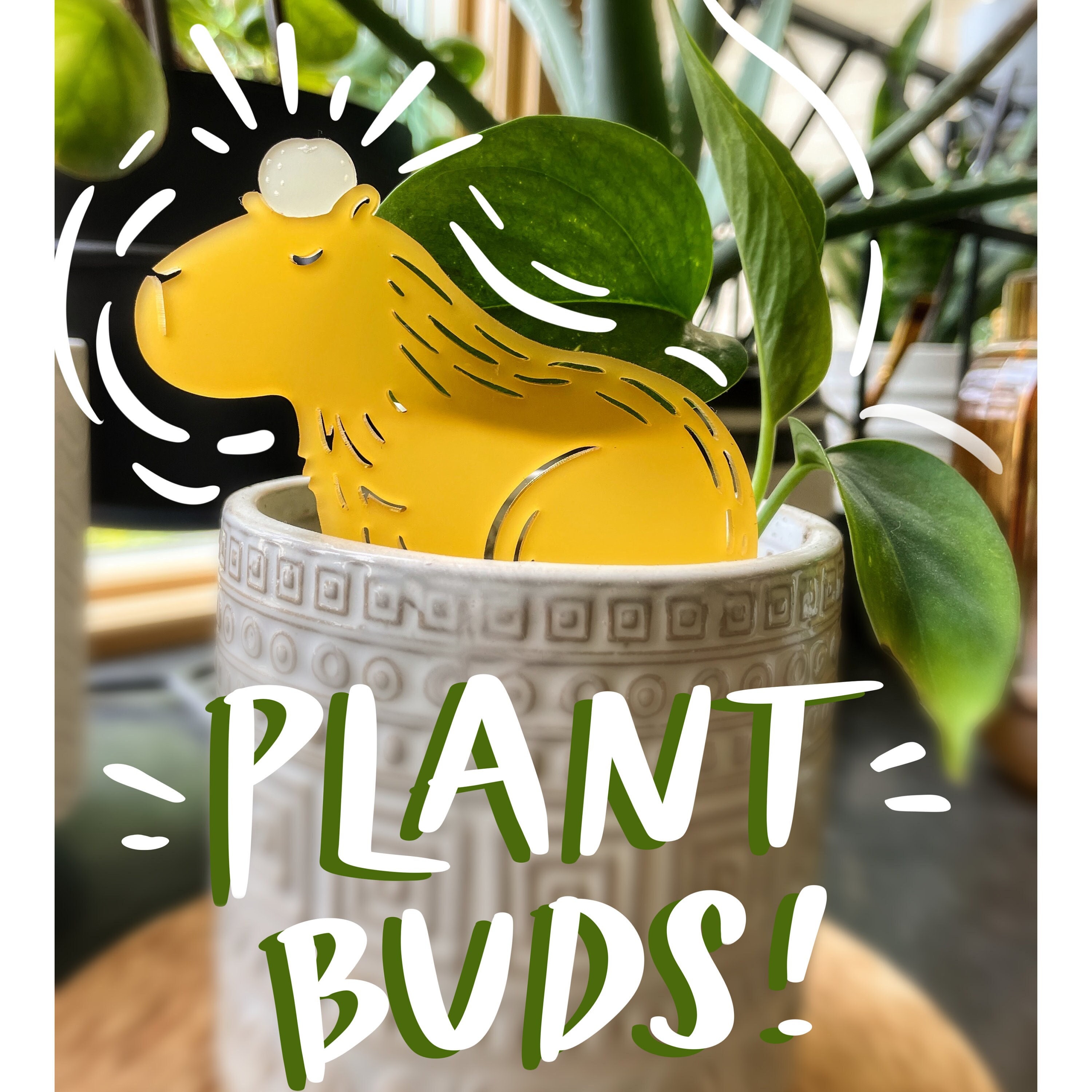 Capybara Plant Buds! | Acrylic Plant Stakes | Whimsical Decor | Plant Lover Gift
