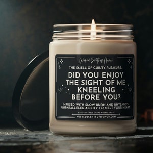 Rhysand Acotar Candle, Did You Enjoy the Sight of Me Kneeling Before You, Acotar Merch, Rhysand, Velaris Candle, ACOMAF, Book Lover Candle