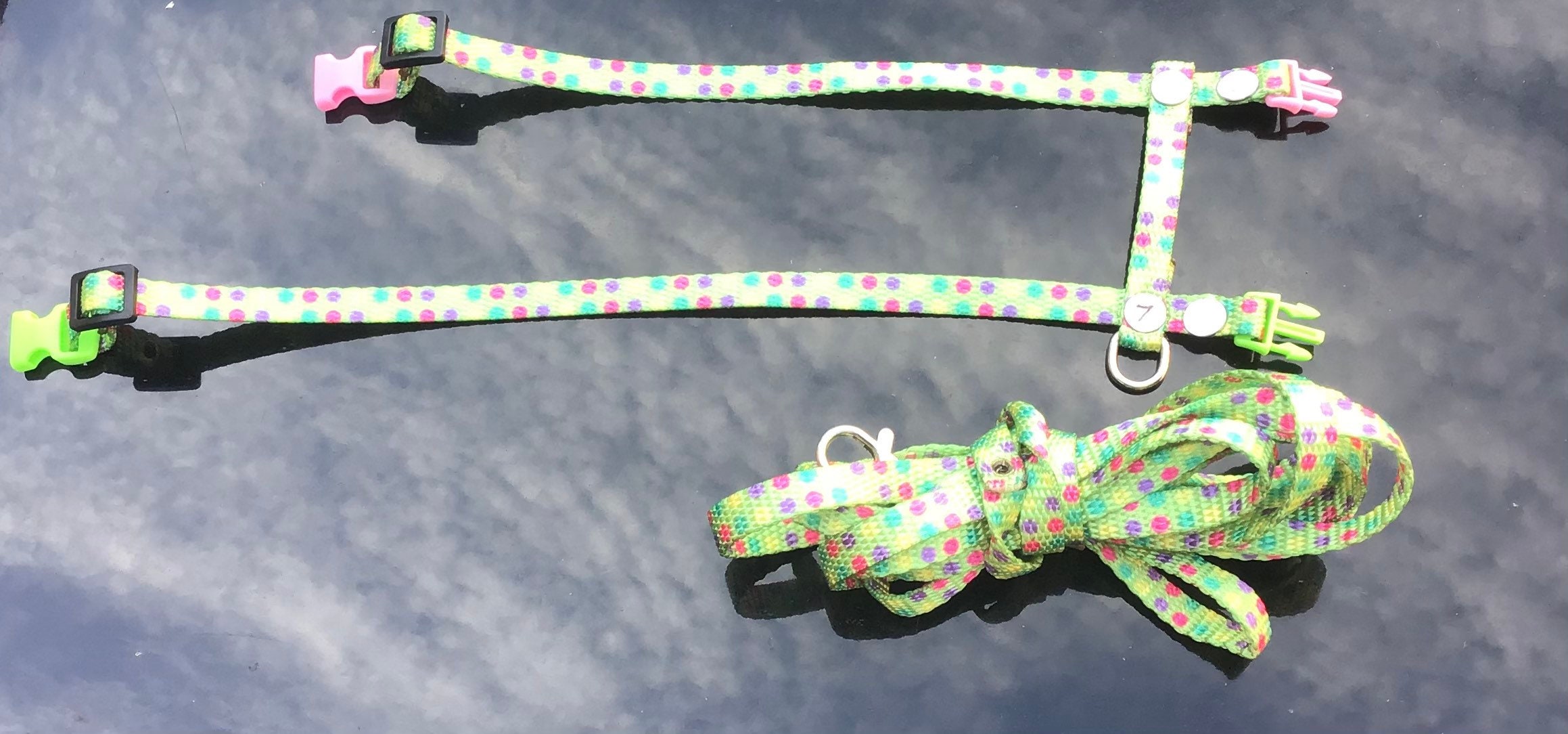 Rabbit Harness candy Dot Pattern.adjustable Rabbit Harness Etsy