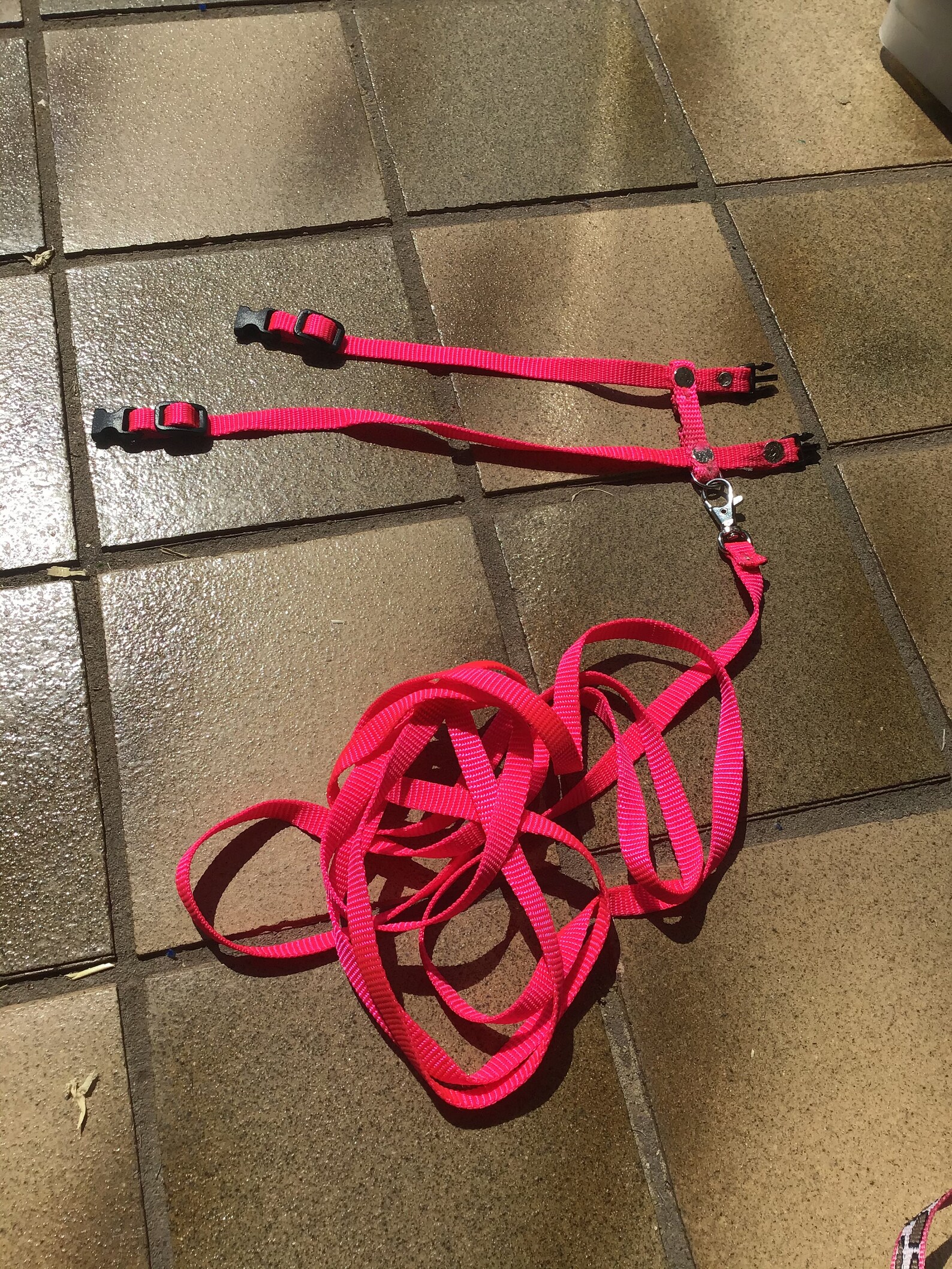 Rabbit Harness Pink Pattern. Adjustable rabbit harness pet Etsy