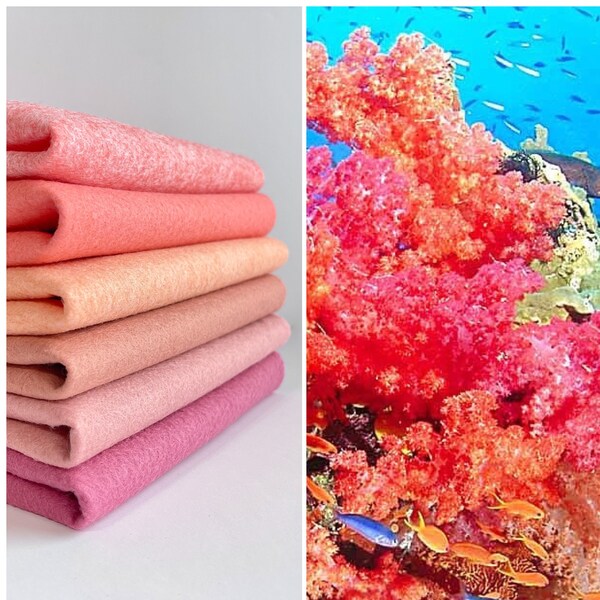 Coral Reef Felt Color Set 9 x 12 Wool Felt