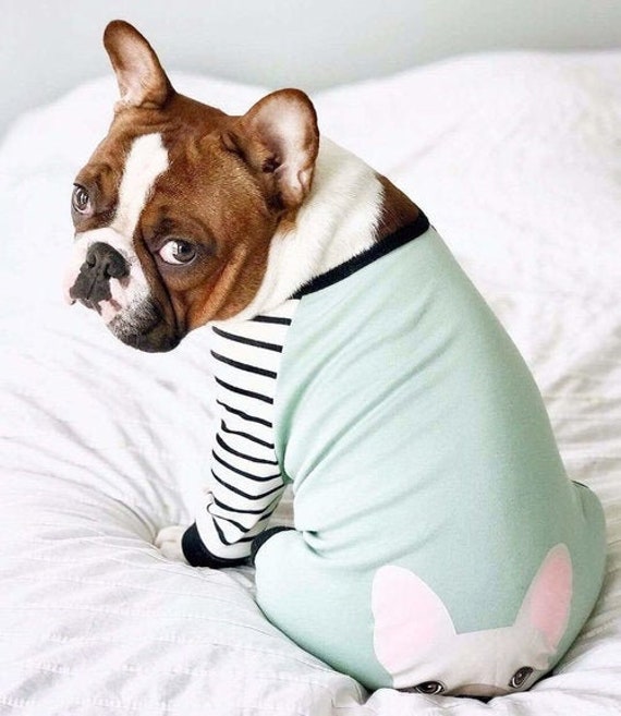 bulldog pajamas