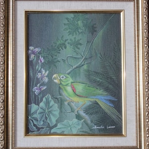 Saincilus Larimer rare painting hummingbird fauna flora parrot Haiti contemporary collection