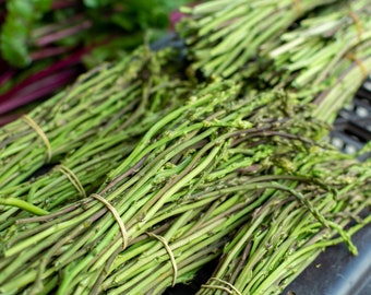 Real wild asparagus from Croatia 50 seeds The asparagus delicacy for gourmets. Rarity for the vegetable patch