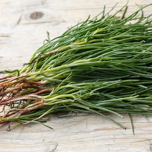 Op de afbeelding: Een bosje verse groene zeekraal met bruine wortels, gerangschikt op een licht houten oppervlak.