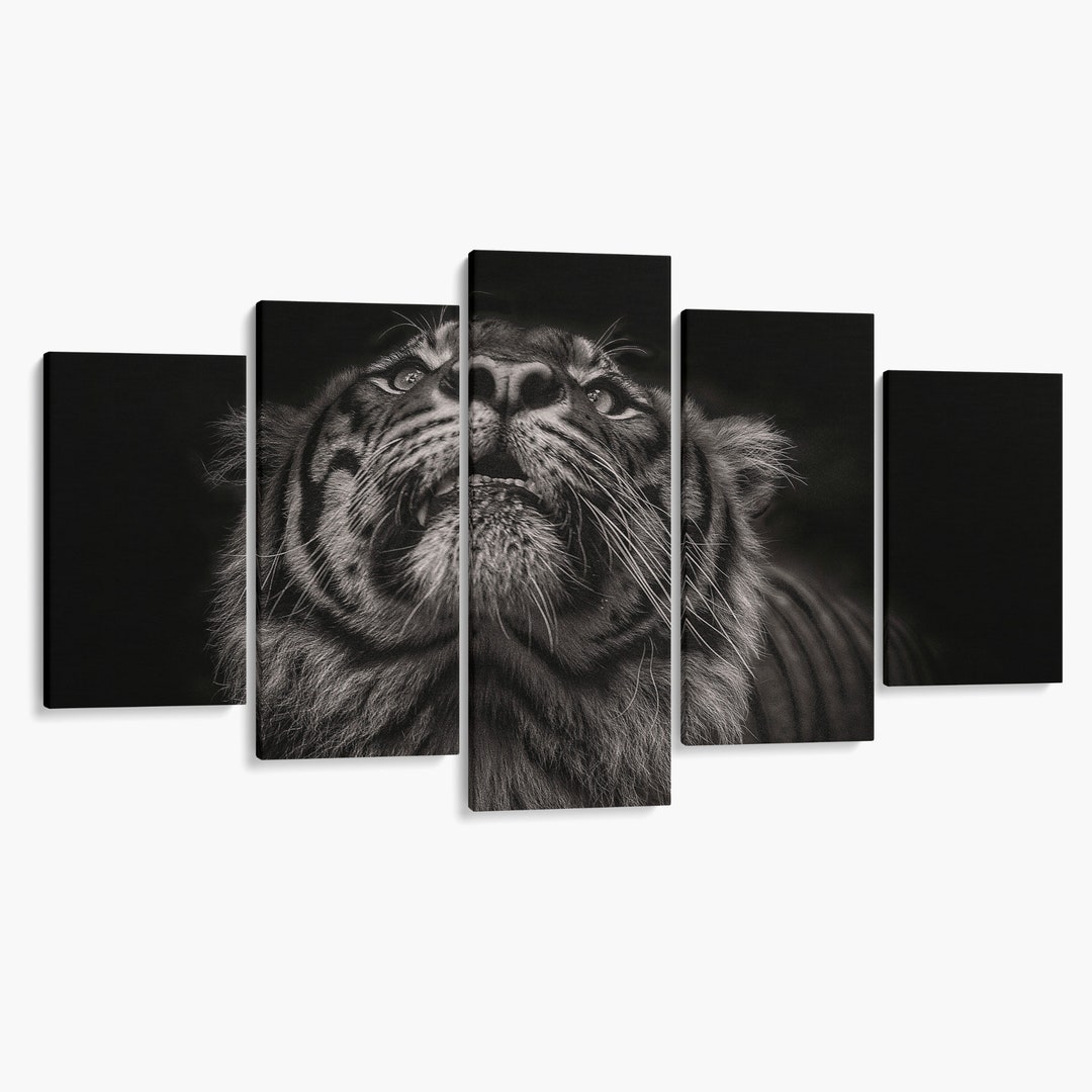 Black and White Tiger Wall Art Tiger Artwork on 5 Piece Etsy