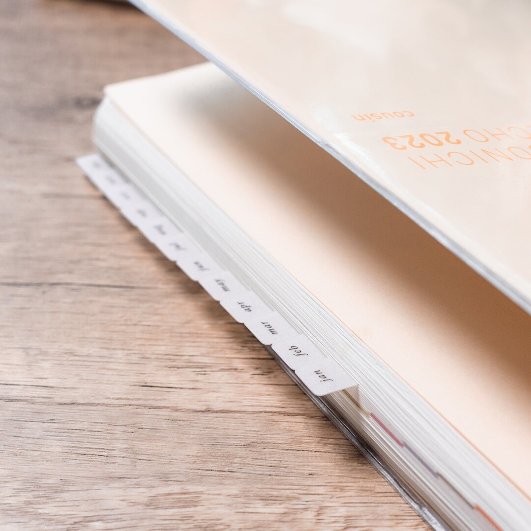 Mini Vellum Tabs Functional Planner Tabs, Hobonichi Tabs, Monthly Tabs