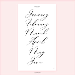May include: A white rectangular print featuring the months January through June in elegant black cursive script. The words "Monthly Scripts" and "Cosmicaa" are printed at the top and bottom of the print, respectively. The background is a soft pink.