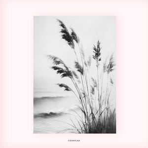 May include: Black and white photograph of tall, feathery grasses against a misty ocean backdrop. The image captures the movement of the grasses and waves, creating a serene and natural scene. The word "COSMICAA" is printed at the bottom.