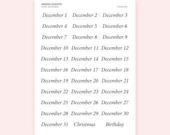 Pegatinas para planificador con escritura mensual – Etiquetas para diario y calendario