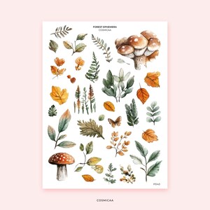 Forest ephemera - Planner stickers, planning, journaling, scrapbooking, forest theme, greenery, mushrooms, leaves