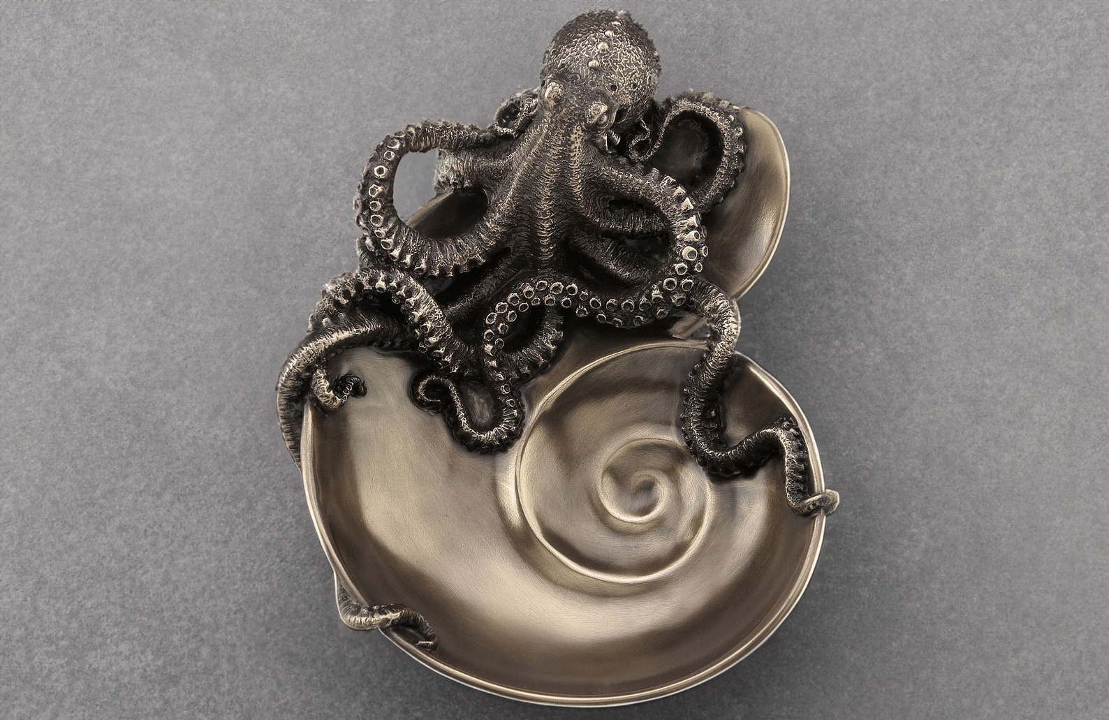 Shell Octupus Frame Decorative Spiral Shell Octopus Tray - Etsy