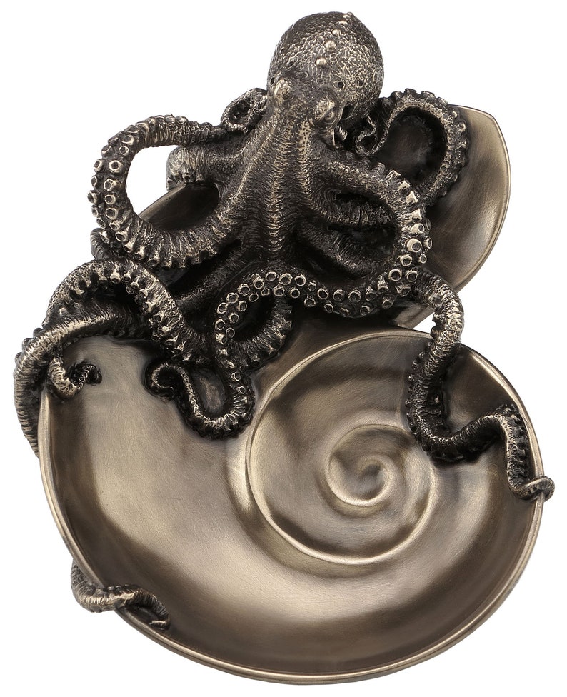 Shell Octupus Frame Decorative Spiral Shell Octopus Tray - Etsy