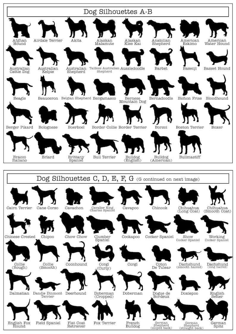 border terrier akita malamute hound boxer bulldog bully cavachon chihuahua dachshund german shepherd fox dalmatian collie chow chow cockapoo cocker spaniel working show