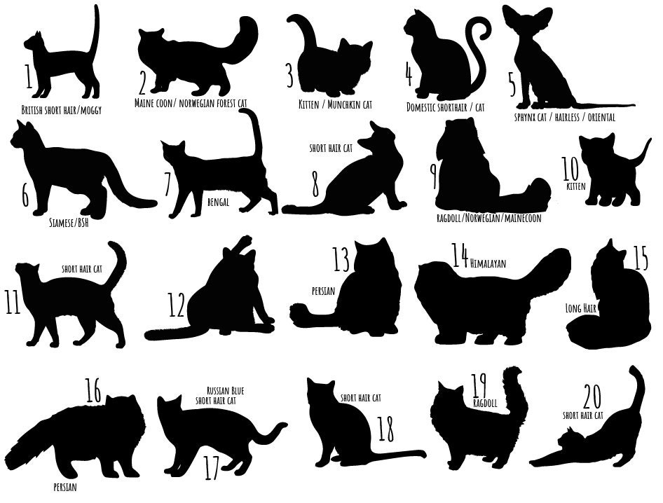 Luxury Bespoke Personalised Cat Ornament Gift for Cat Lovers Etsy UK