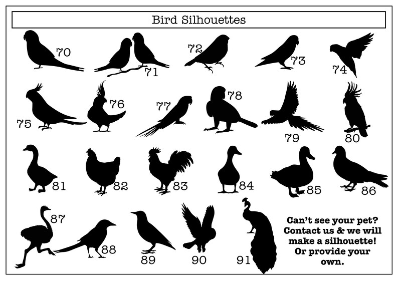 May include: Black and white silhouette images of various birds, including a parrot, cockatoo, goose, chicken, rooster, duck, peacock, and more. The images are numbered 70 through 91.