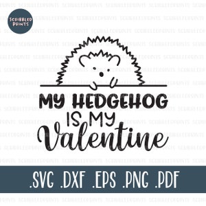 Meu ouriço é meu namorado SVG, SVG engraçado dos namorados, SVG do dia dos namorados, Hedgehog Mom Svg, Fur Baby Svg, arquivo de corte para silhueta Cricut